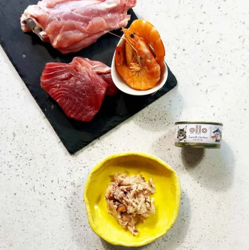 Ollo Cat Tuna&Chicken with Shrimp Mokra Karma dla kota op.70g