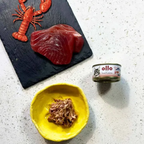 Ollo Cat Tuna&Lobster Mokra Karma dla kota op. 70g