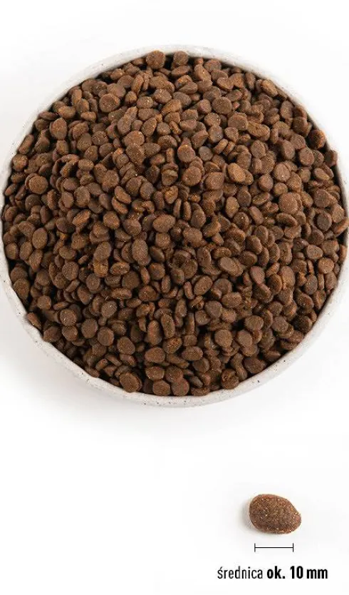 Orijen Cat Regional Red Sucha Karma dla kota op. 1.8kg
