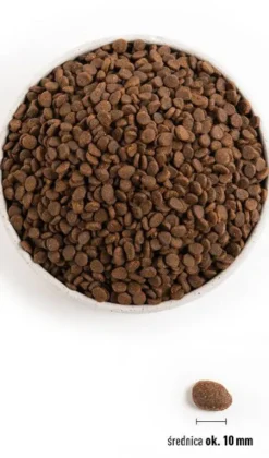 Orijen Cat Regional Red Sucha Karma dla kota op. 340g