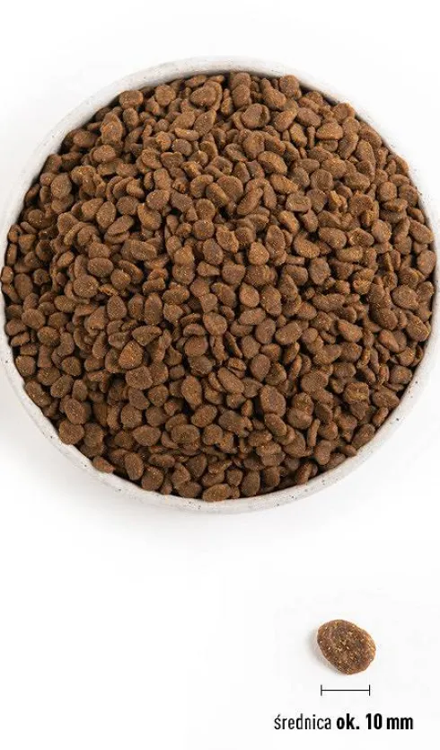 Orijen Cat Six Fish Sucha Karma dla kota op. 1.8kg