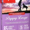 Orijen Puppy Large Sucha Karma dla szczeniaka op. 2x11.4kg MEGA-PAK