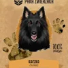 Paka Zwierzaka Przysmak Chunkies Kaczka dla psa op. 70g