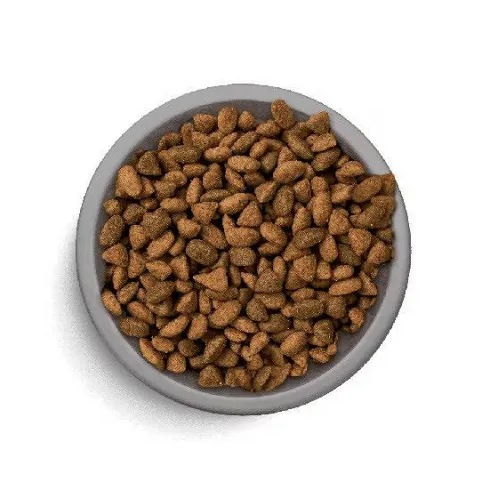 Perfect Fit Adult 1+ Kurczak Sucha Karma dla kota op. 7kg WYPRZEDAŻ