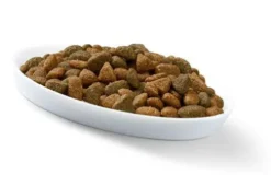 Perfect Fit Indoor 1+ Kurczak Sucha Karma dla kota op. 750g WYPRZEDAŻ