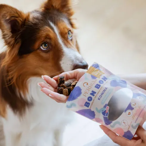 Perro BON BON Konina Równowaga Przysmaki dla psa op. 80g