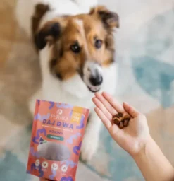 Perro DAJ DWA Konina Trenerki Przysmaki dla psa op. 85g