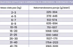 Perro Fish Adult Morszczuk z batatami Mokra Karma dla psa op. 400g Pakiet 6szt.