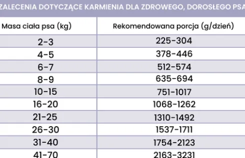 Perro Fish Adult Morszczuk z batatami Mokra Karma dla psa op. 400g Pakiet 6szt.