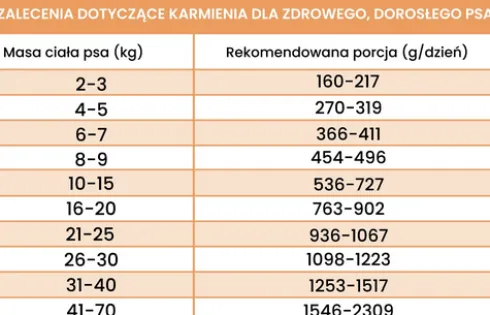 Perro Gourmet Adult Cielęcina z cukinią Mokra Karma dla psa op. 400g Pakiet 6szt.