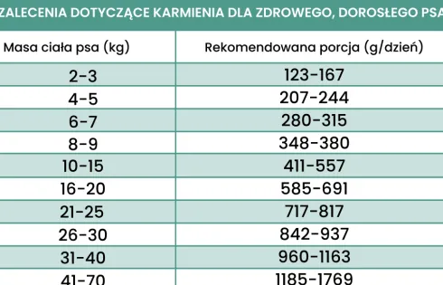 Perro Gourmet Adult Konina z korzeniem pietruszki Mokra Karma dla psa op. 400g