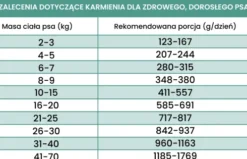 Perro Gourmet Adult Konina z korzeniem pietruszki Mokra Karma dla psa op. 400g Pakiet 6szt.