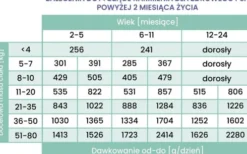 Perro Gourmet Junior Konina z Dynią Mokra Karma dla szczeniaka op. 400g