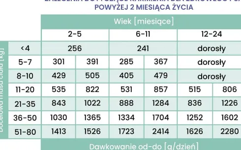 Perro Gourmet Junior Konina z Dynią Mokra Karma dla szczeniaka op. 400g Pakiet 6szt.