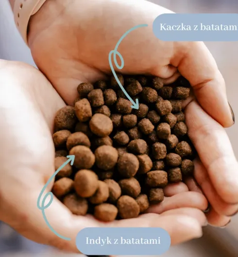 Perro Indyk z batatami Sucha Karma dla psa op. 3kg