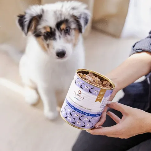 Perro Junior Królik z dynią Mokra Karma dla szczeniaka op. 400g