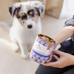 Perro Junior Królik z dynią Mokra Karma dla szczeniaka op. 400g Pakiet 6szt.