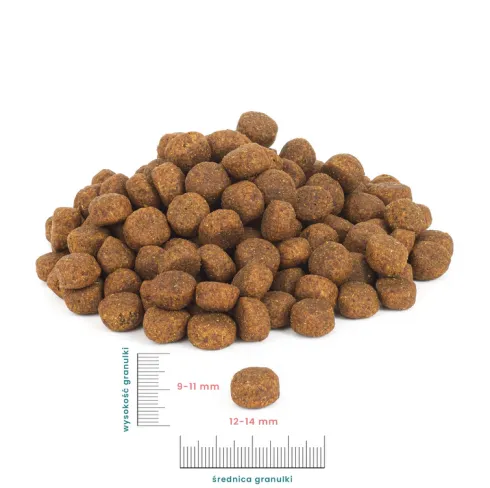 Perro Kaczka z batatami Sucha Karma dla psa op. 12kg