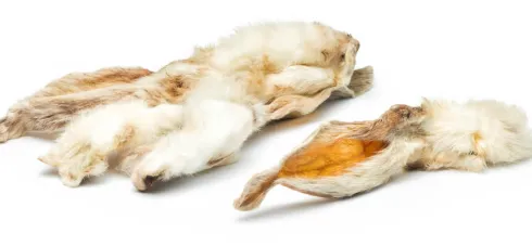 Petmex Uszy suszone królika naturalne z futrem op. 500g