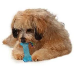 Petstages Gryzak Orka Mini Bone dla psa nr kat. PS221 WYPRZEDAŻ
