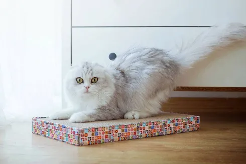 Pet Supplies Drapak kartonowy Scratch Board szeroki dla kota nr kat. PS-0628