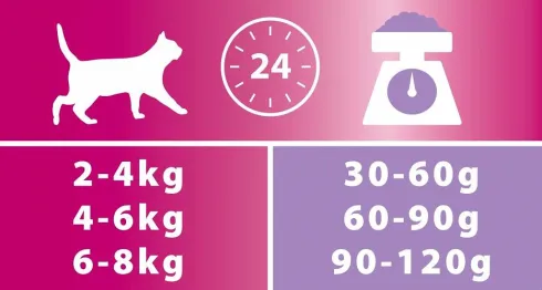 Pro Plan Cat Sterilised Renal Plus Turkey Sucha Karma dla kota op. 400g