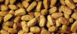 Pro Plan Cat Sterilised Renal Plus z Indykiem Sucha Karma dla kota op. 1.5kg + Podkładka pod Miskę GRATIS
