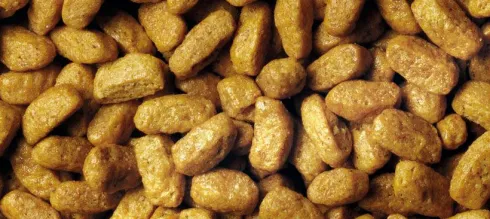 Pro Plan Cat Sterilised Renal Plus z Indykiem Sucha Karma dla kota op. 1.5kg + Podkładka pod Miskę GRATIS