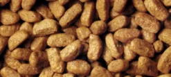 Pro Plan Cat Sterilised Vital Functions Salmon Sucha Karma dla kota op. 10kg + Podkładka pod Miskę GRATIS