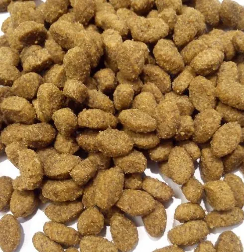 Purina Cat Chow Adult Sterilised Sucha Karma dla kota op. 15kg + Rękawica Pielęgnacyjna GRATIS