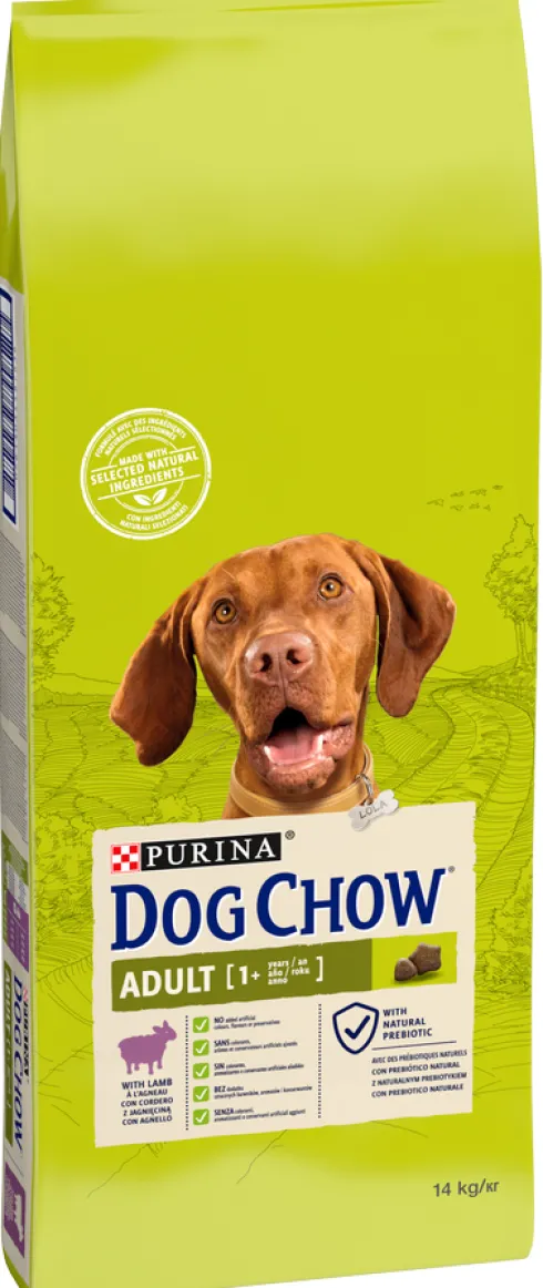 Purina Dog Chow Adult Lamb Sucha Karma dla psa op. 14kg