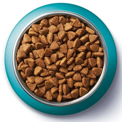 Purina ONE Cat Adult z Kurczakiem Sucha Karma dla kota op. 1.5kg