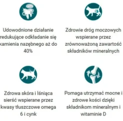 Purina ONE Cat Adult z Kurczakiem Sucha Karma dla kota op. 1.5kg