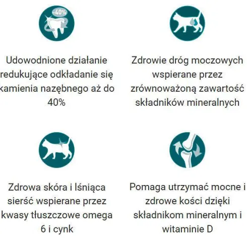 Purina ONE Cat Adult z Kurczakiem Sucha Karma dla kota op. 1.5kg
