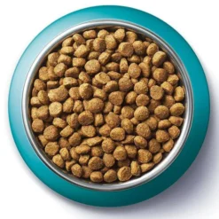Purina ONE Cat Adult z Wołowiną Sucha Karma dla kota op. 800g