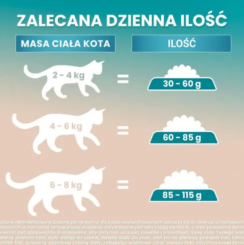 Purina ONE Cat Grain Free Adult z Łososiem Sucha Karma dla kota op. 1.1kg