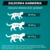 Purina ONE Cat High Protein Adult Salmon Sucha Karma dla kota op. 900g