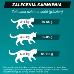 Purina ONE Cat High Protein Adult Salmon Sucha Karma dla kota op. 900g
