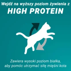 Purina ONE Cat High Protein Adult Salmon Sucha Karma dla kota op. 900g