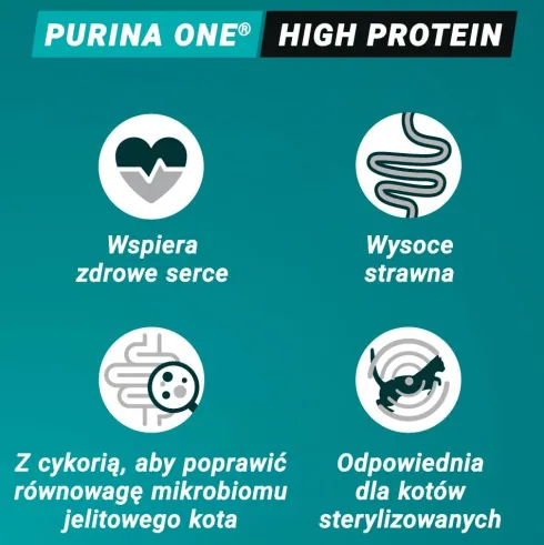 Purina ONE Cat High Protein Adult Salmon Sucha Karma dla kota op. 900g