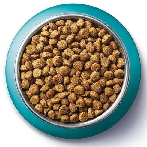 Purina ONE Cat Indoor z Indykiem Sucha Karma dla kota op. 1.5kg