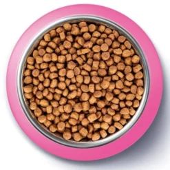 Purina ONE Cat Junior z Kurczakiem Sucha Karma dla kociąt op. 800g