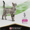 Purina Vet Diets Hypoallergenic HA Sucha Karma dla kota op. 1.3kg