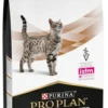 Purina Vet Diets Renal Function NF Sucha Karma dla kota op. 5kg