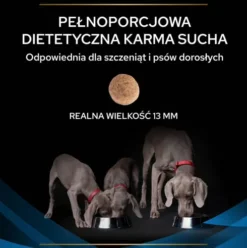 Purina Veterinary Diets DRM Dermatosis Sucha Karma dla psa op. 12kg