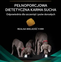 Purina Veterinary Diets EN Gastro Intestinal Sucha Karma dla psa op. 12kg