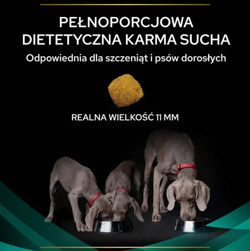 Purina Veterinary Diets EN Gastro Intestinal Sucha Karma dla psa op. 2x12kg MEGA-PAK