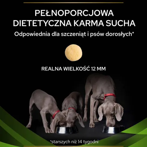 Purina Veterinary Diets HA Hypoallergenic Sucha Karma dla psa op. 2x11kg MEGA-PAK