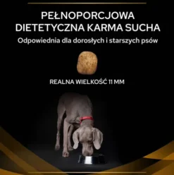 Purina Veterinary Diets NF Renal Function Sucha Karma dla psa op. 12kg