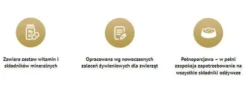 Rafi Classic Dog Indyk z marchewką Mokra Karma dla psa op. 1240g